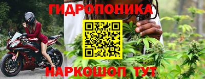сатива Ставрополь