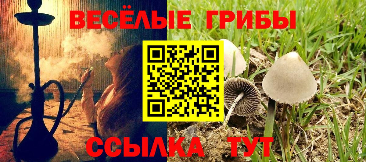 Псилоцибиновые грибы мухоморы Муравленко